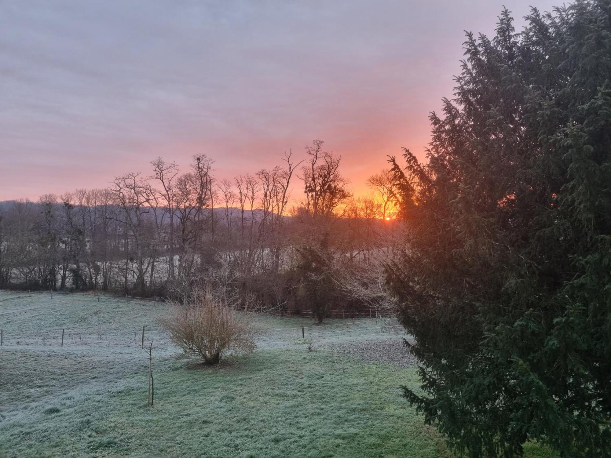 Domaine De Belcayre Bed & Breakfast Montauban Bagian luar foto