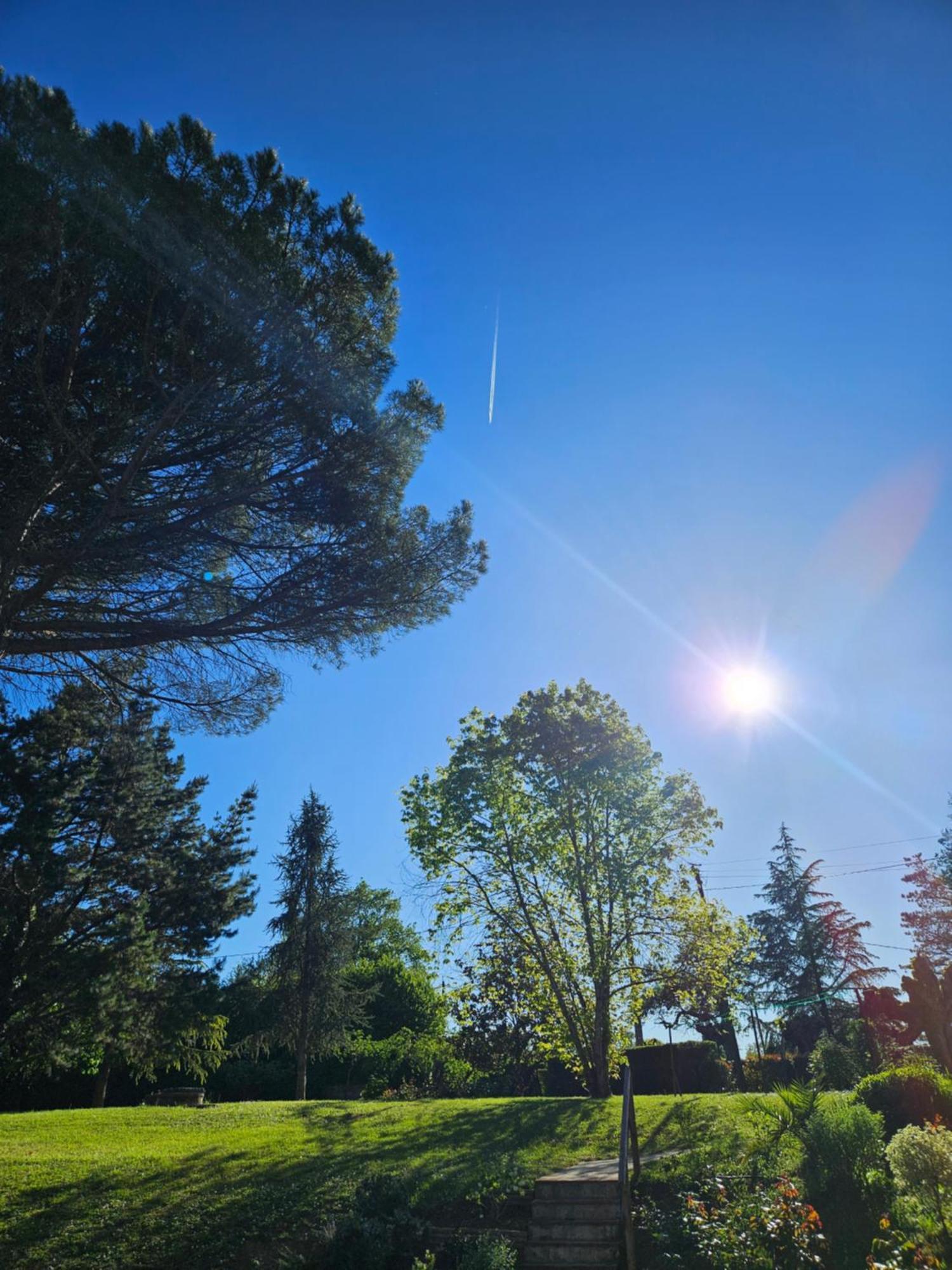 Domaine De Belcayre Bed & Breakfast Montauban Bagian luar foto